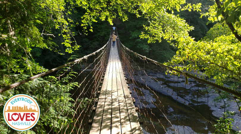 Rope Bridge over Cane Creek in Fall Creek Falls State Park